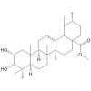 2α-羟基熊果...
