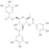 2,3,6-O-三没食子酰-β-D-吡喃葡萄糖甲苷