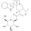 帽柱木酸-（16→1）-β-D-吡喃葡萄糖酯