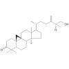 25（R）-氧代-24-亚甲基环木菠萝烷基-26-醇