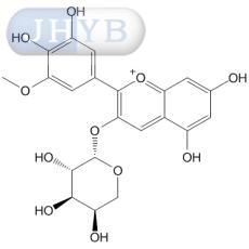 ǣţ-3-