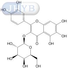 槲皮万寿菊素-3-半乳糖苷