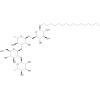 1-O-[-L-Rhamnopyranosyl-(12--D-glucopyranosyl13--L-rhamnopyranosyl-(16--D-rhamnopyranosyl]hexadecanol