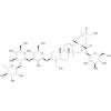 3-O-[-L-rhamnopyranosyl-(12--D-glucopyranosyl12--D-glucopyranosyl]phytolaccagenic acid 28-O--D-glucopyranosyl e