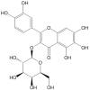 槲皮万寿菊素-3-半乳糖苷