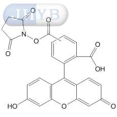 5(6)-羧基荧光素(N-羟基琥珀酰亚胺)酯