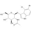 (5-溴-4-氯-3-吲哚基)-N-乙酰基-β-D-氨基葡萄糖苷