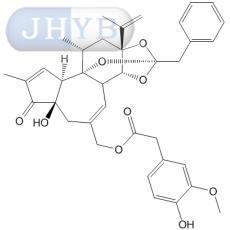 树胶脂毒素
