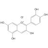 氯化矢车菊素、黑米