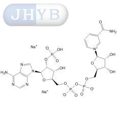β-烟酰胺腺嘌呤二核苷酸磷酸二钠盐