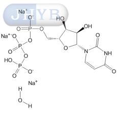 尿苷5'-三磷酸三钠盐水合物