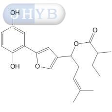 ϲ߻ B