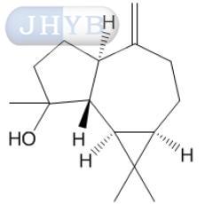匙叶桉油烯醇
