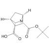 (1R,3S,4S)-N-Boc-2-˫[2.2.1]-3-