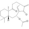 対映-8,9-开环-7α-乙酰氧基贝壳杉-8(14),16-二烯-9,15-二酮