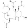 Taxa-4(20）,11-diene-5α-hydoxy-1β,7β，9α，10β-tera-acetate