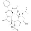 Taxuspinanane B