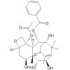 Taxuspinanane C