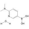 2-(二甲基氨基)吡啶-5-硼酸一水合物