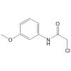 2-氯-N-(3-甲氧基苯基)-乙酰胺