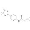 tert-Butyl (5-(4,4,5,5-tetramethyl-1,3,2-dioxaborolan-2-yl)pyridin-2-yl)carbamate