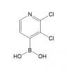2,3-二氯吡啶-4-硼酸