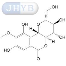 岩白菜素